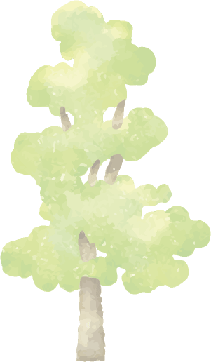 木05