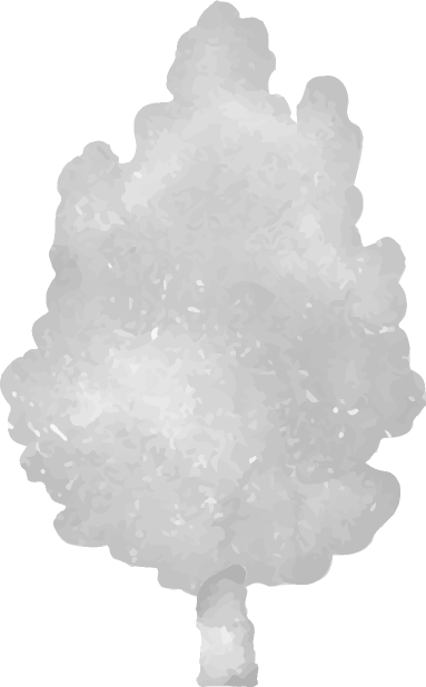 木C01