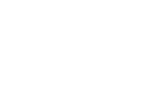 POINT
