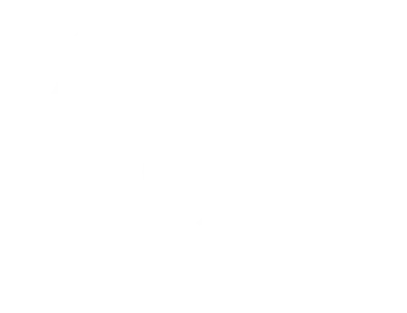 POINT