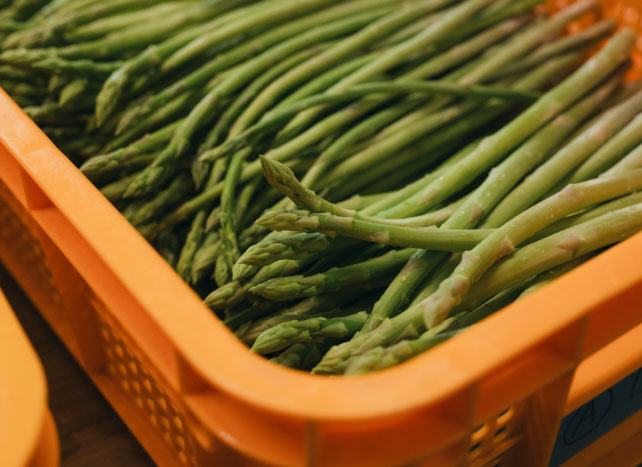 新しい挑戦を楽しむ姿勢