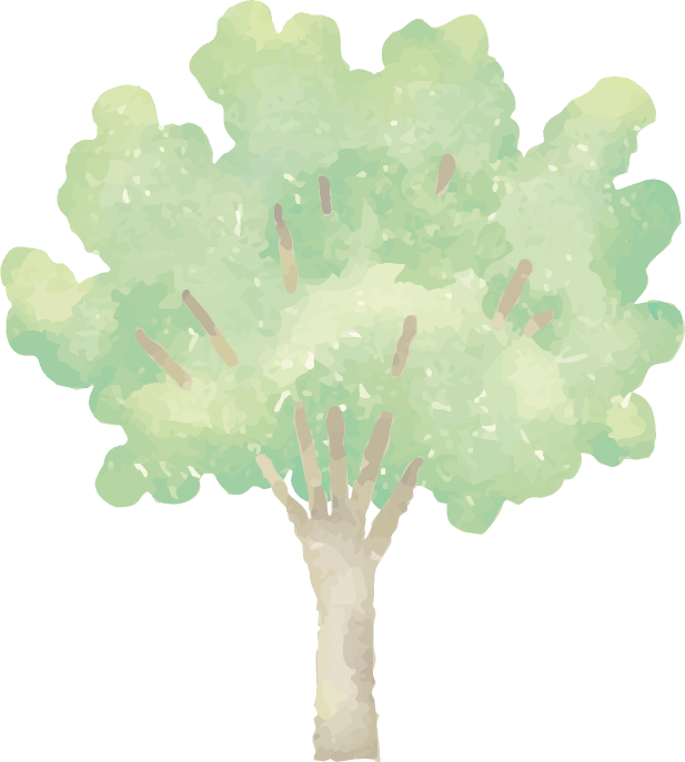 木01