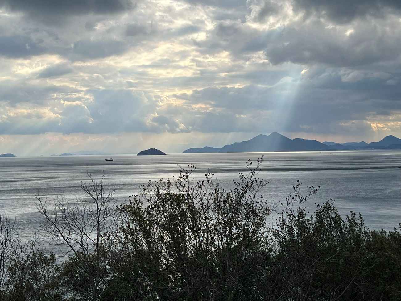 営業課より　～田島～