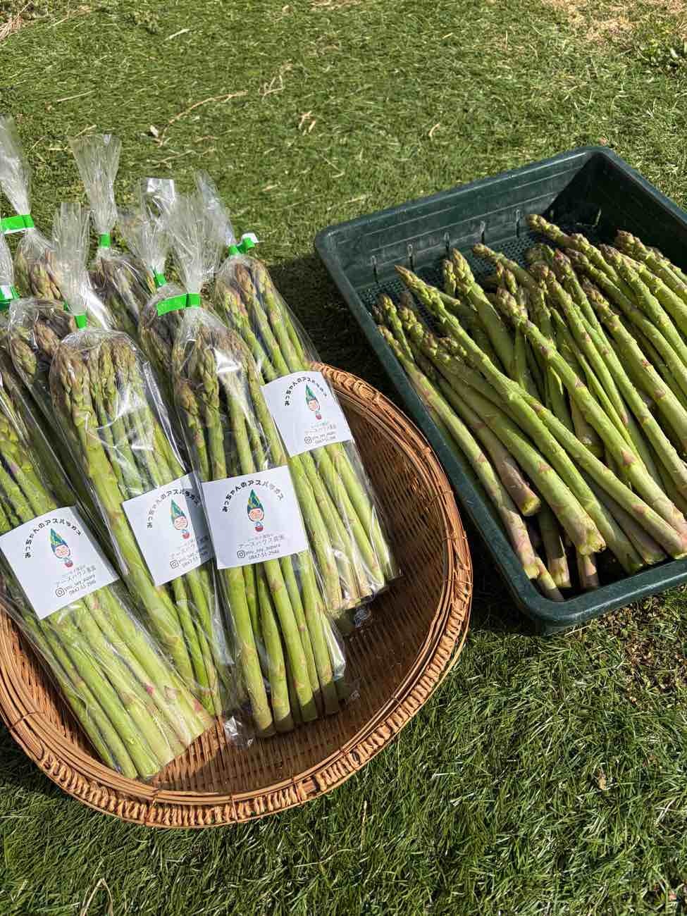 総務課より　～アスパラ販売開始しました～