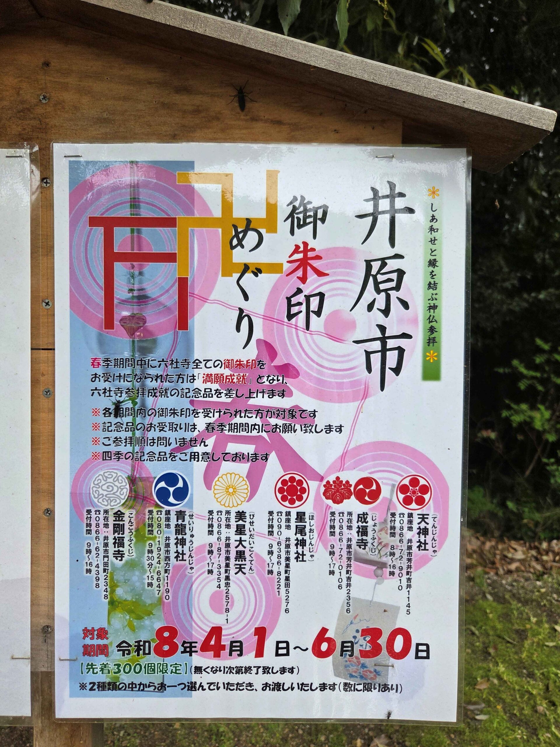 設計積算課より　～御朱印めぐり～