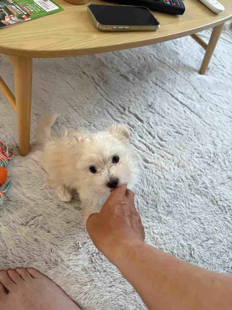 環境事業部より　～かわいいです！！！～