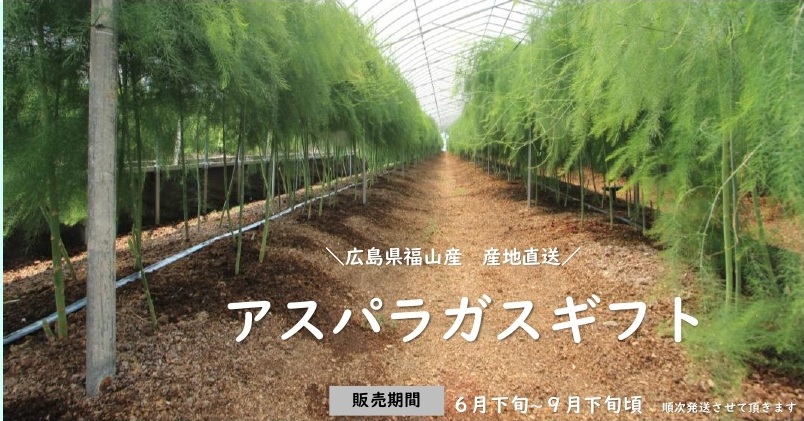 総務課より　～アスパラギフト～